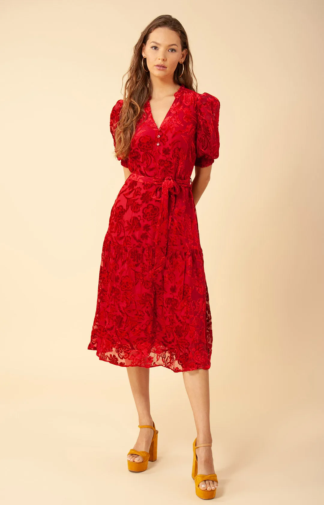 Kimbra Solid Velvet Burnout Dress