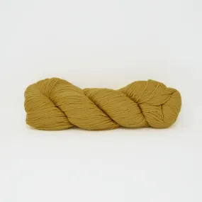 Rios - Chaja